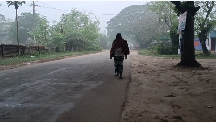 চুয়াডাঙ্গা জীবননগরে ভোরে দেখা মিলছে কুয়াশা, শীতের আগমন বার্তা