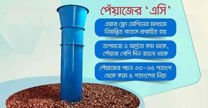 পেঁয়াজ উৎপাদনে বাজিমাত: ‘এয়ার ফ্লো প্রযুক্তি’তে সংরক্ষণ, আমদানি শূন্যের কোঠায়