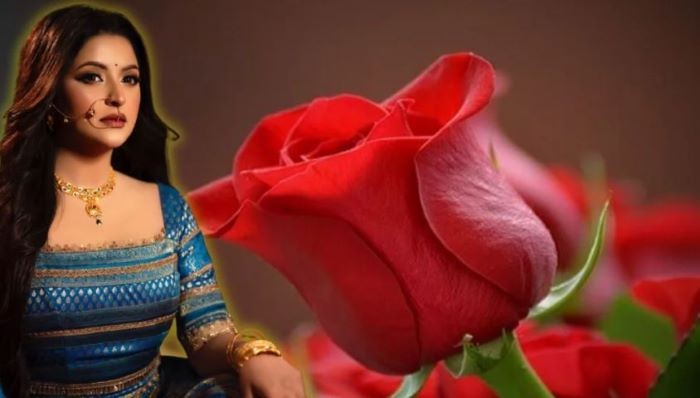 ৩০ দিন টানা শাড়ি পরার চ্যালেঞ্জ ছুড়লেন পরীমণি!