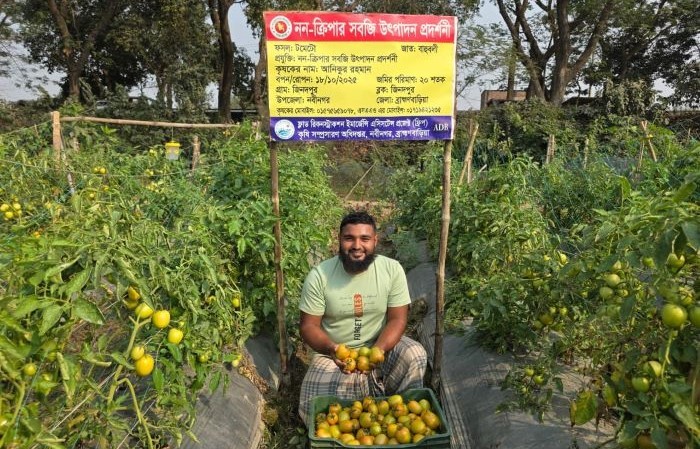 ধান ছেড়ে সবজি চাষে বদলে গেছে অনিকের জীবন 