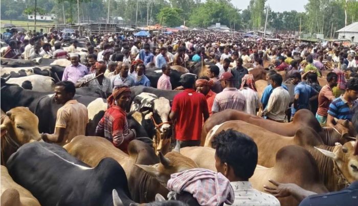 ৩২ বার এভারেস্ট জয় করে বিশ্বরেকর্ড রিতার