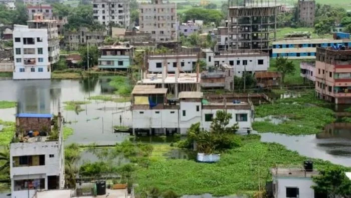 জাল দলিলে জমি দখল, কীভাবে ফিরে পাবেন মালিকানা?